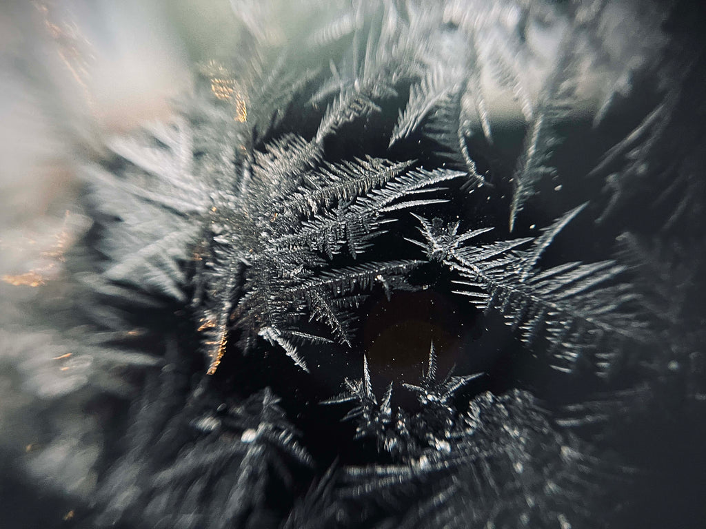 Frozen Fragments Fine Art Print
