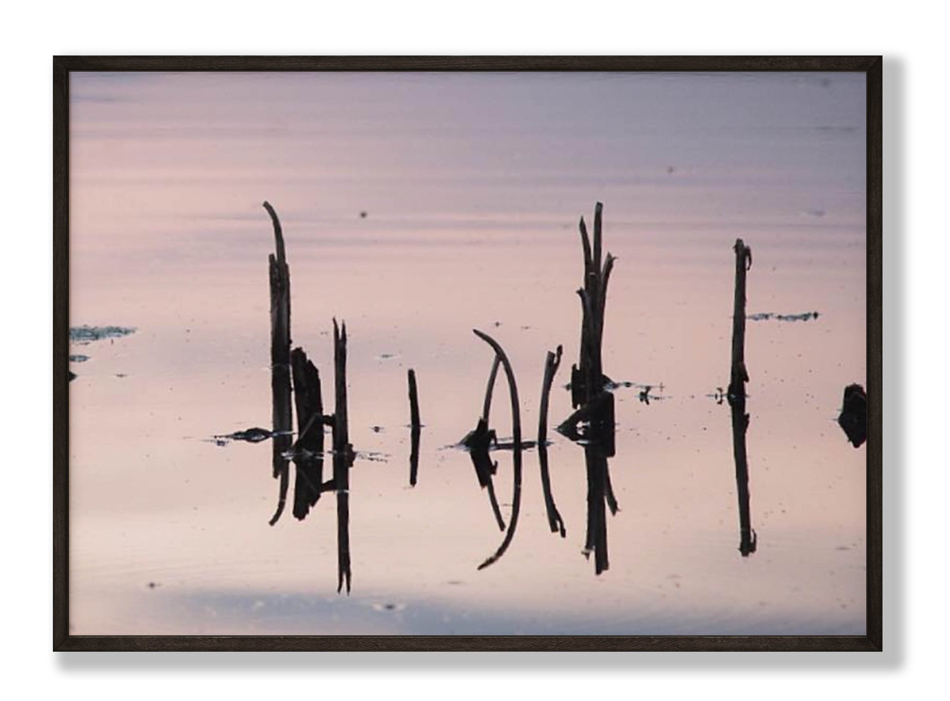 Silent Echo Fine Art Print