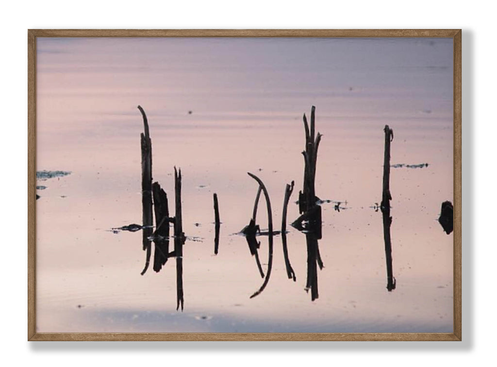 Silent Echo Fine Art Print