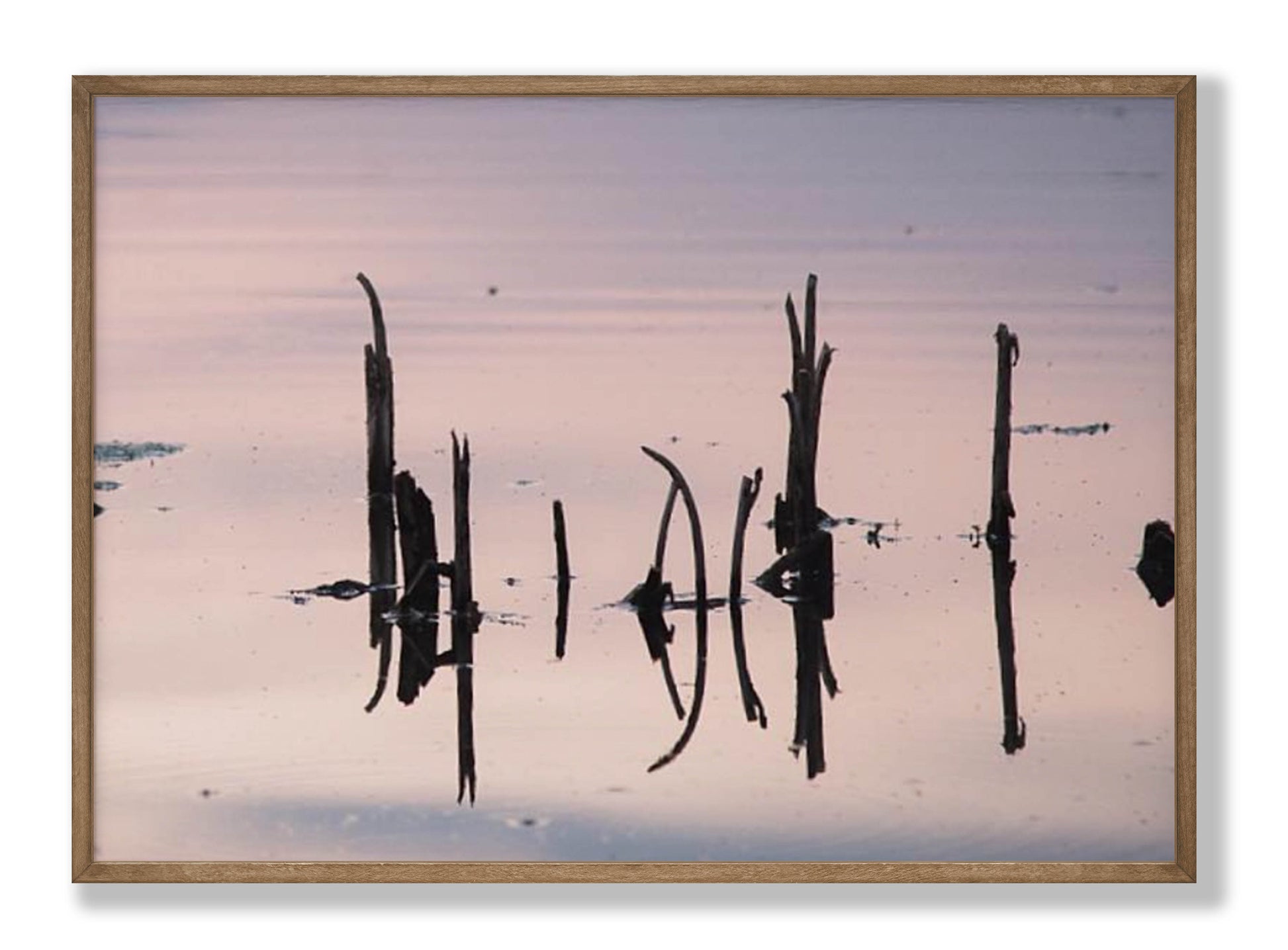 Silent Echo Fine Art Print