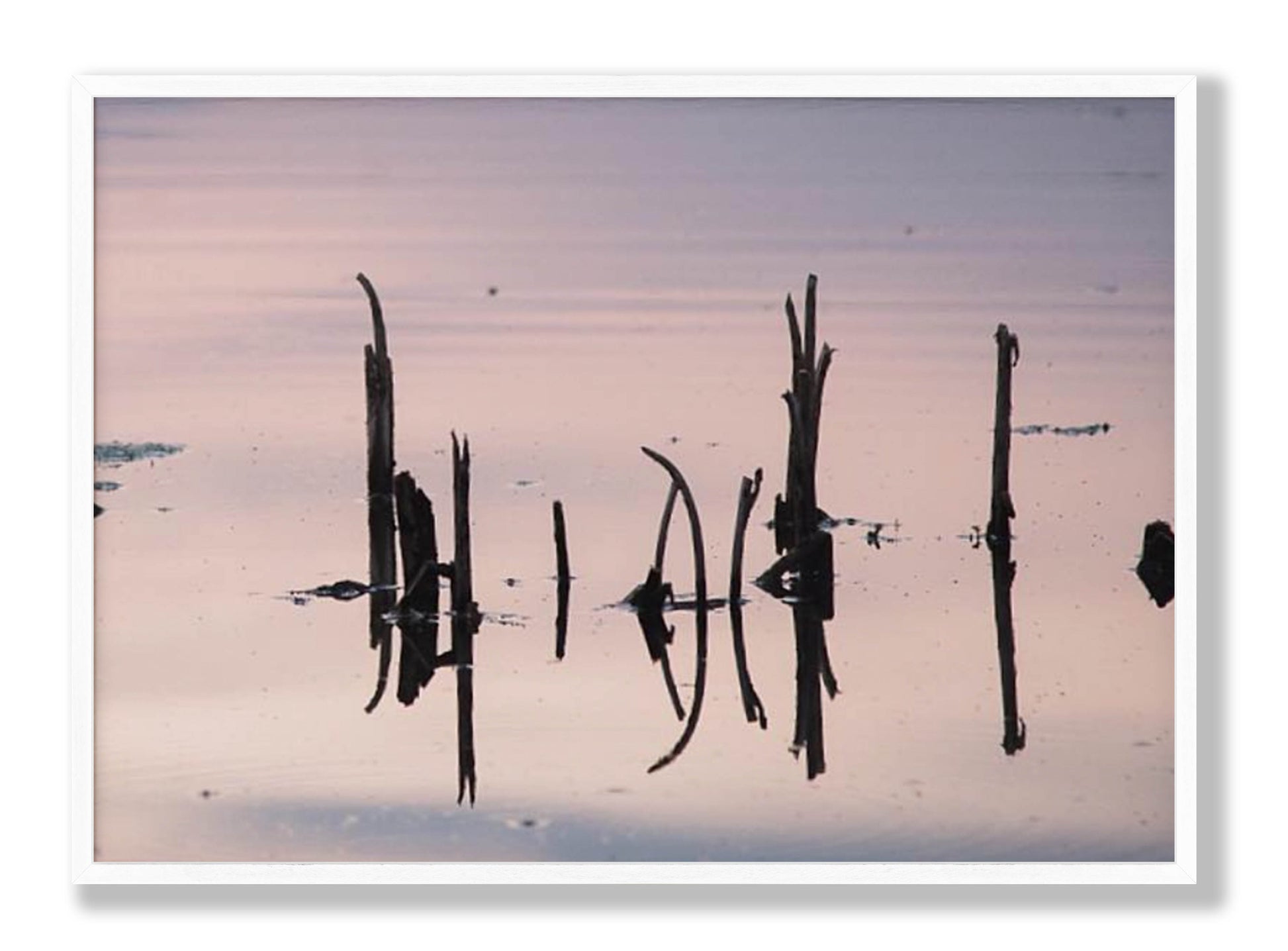 Silent Echo Fine Art Print