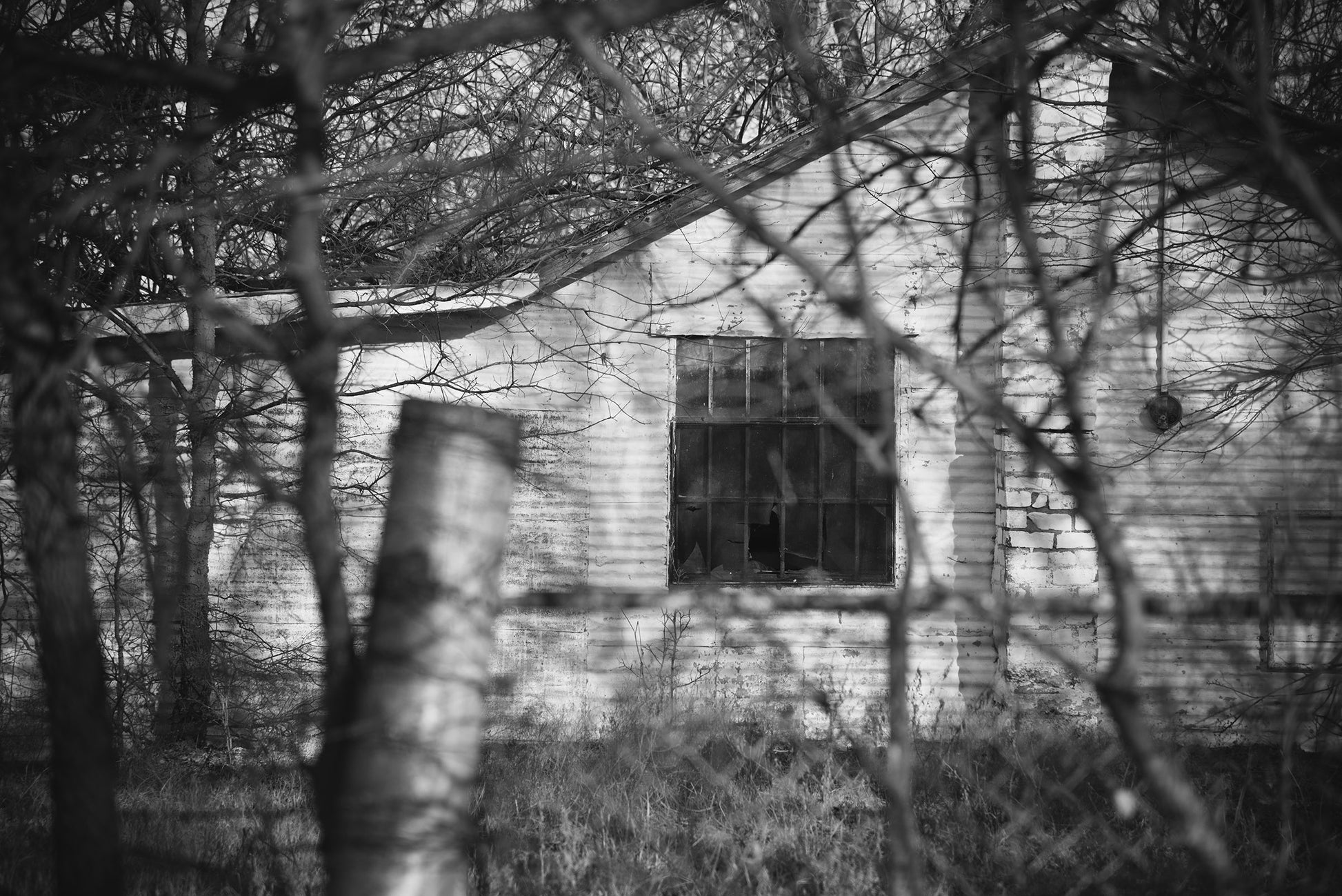 Rust and Reverie Fine Art Print